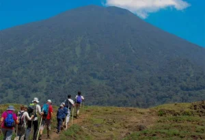 10-Day Uganda Gorillas and Mt.Bisoke Hike