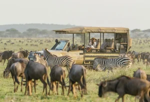 12 Day Kenya, Tanzania and Rwanda Safari