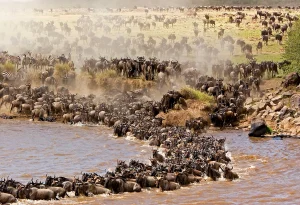 14-Day Kenya, Uganda and Tanzania Safari