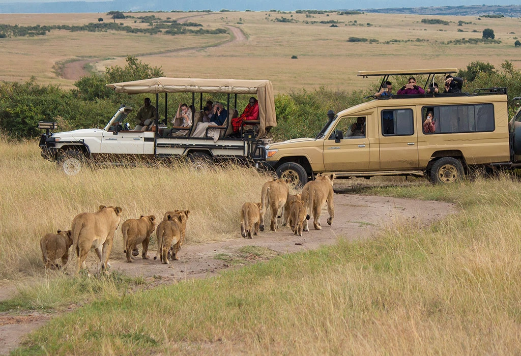 18-Day Kenya, Tanzania and Uganda Safari