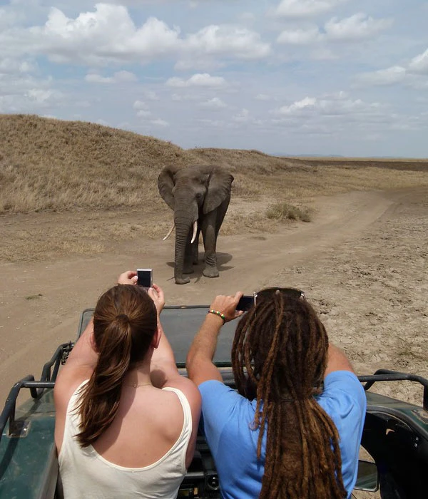 Game Safari in Kenya and Tanzania