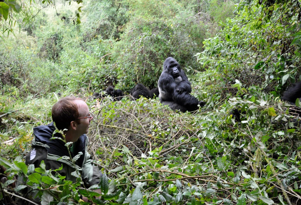 4-Day Bwindi & Mgahinga– Double Gorilla Trekking Safari