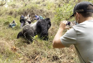 5-Day Bwindi & Mgahinga Gorillas with Sabinyo Hike