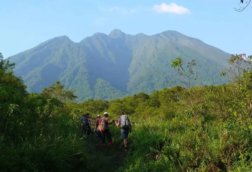 5-Day Bwindi & Mgahinga Gorillas with Sabinyo Hike