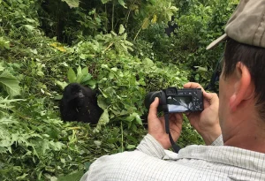 5-Day Rwanda Gorillas & Chimps Trekking Safari