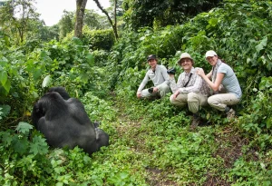 5 Day Rwanda Gorillas and Game Safari