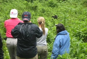 6-Day Rwanda Gorillas, Game & Lake Kivu Beach