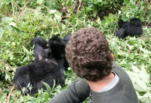 7-Day Uganda and Rwanda Primates with Game Safari