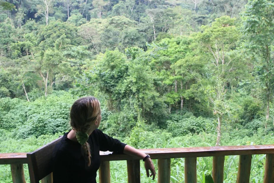 Amazing Facts About Bwindi National Park