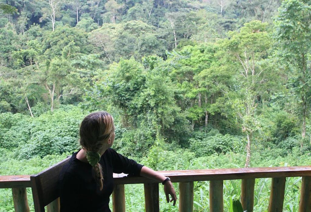 Amazing Facts About Bwindi National Park