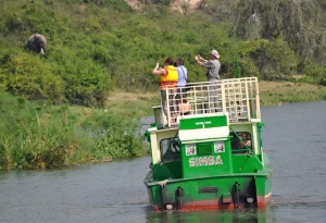 Combining Your Gorilla Trek with a Wider Uganda Safari