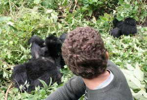This 10-Day Uganda Gorillas & Game Safari