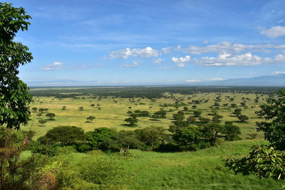 What Is Akagera National Park?
