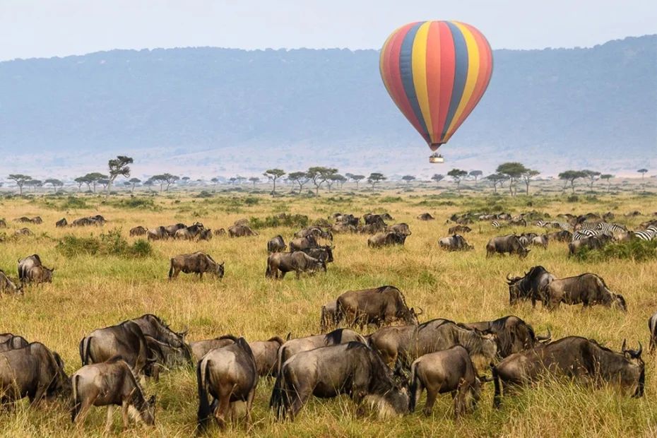Maasai Mara National Reserve: Complete Game Safari Guide