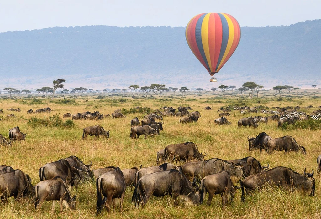Safari vehicle amid zebra and wildebeest migration, Serengeti, Tanzania
