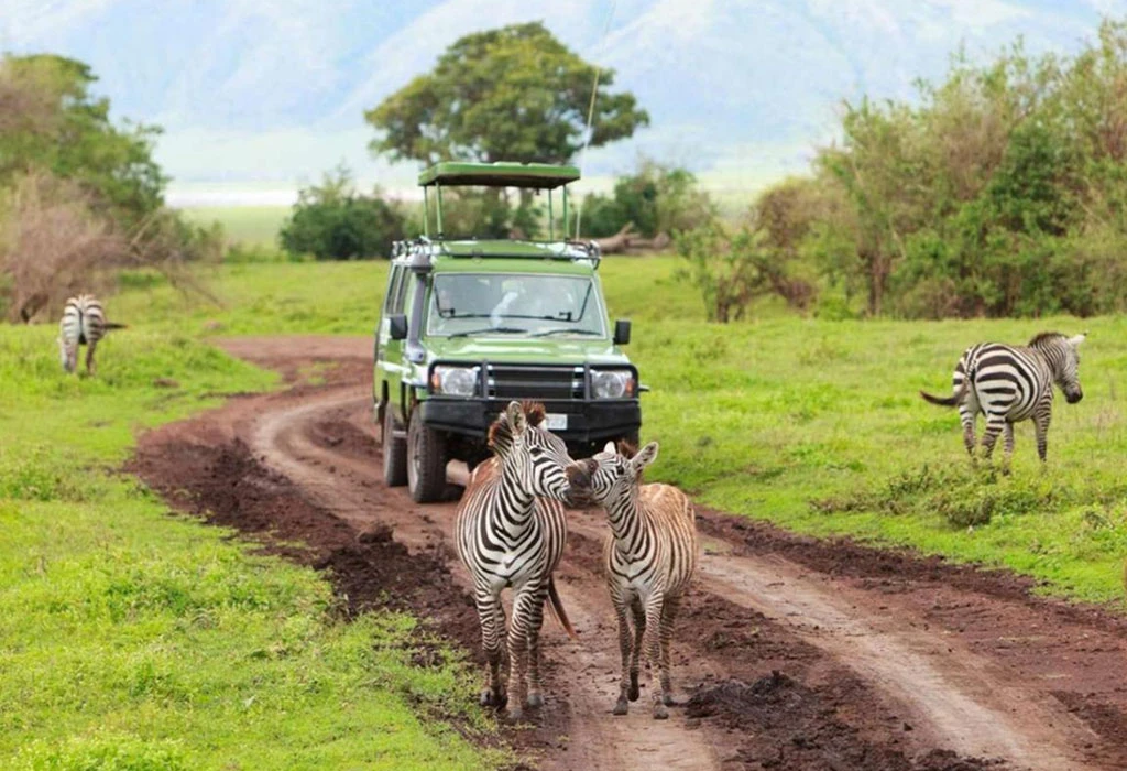 Game Driving in Lake Mburo National Park