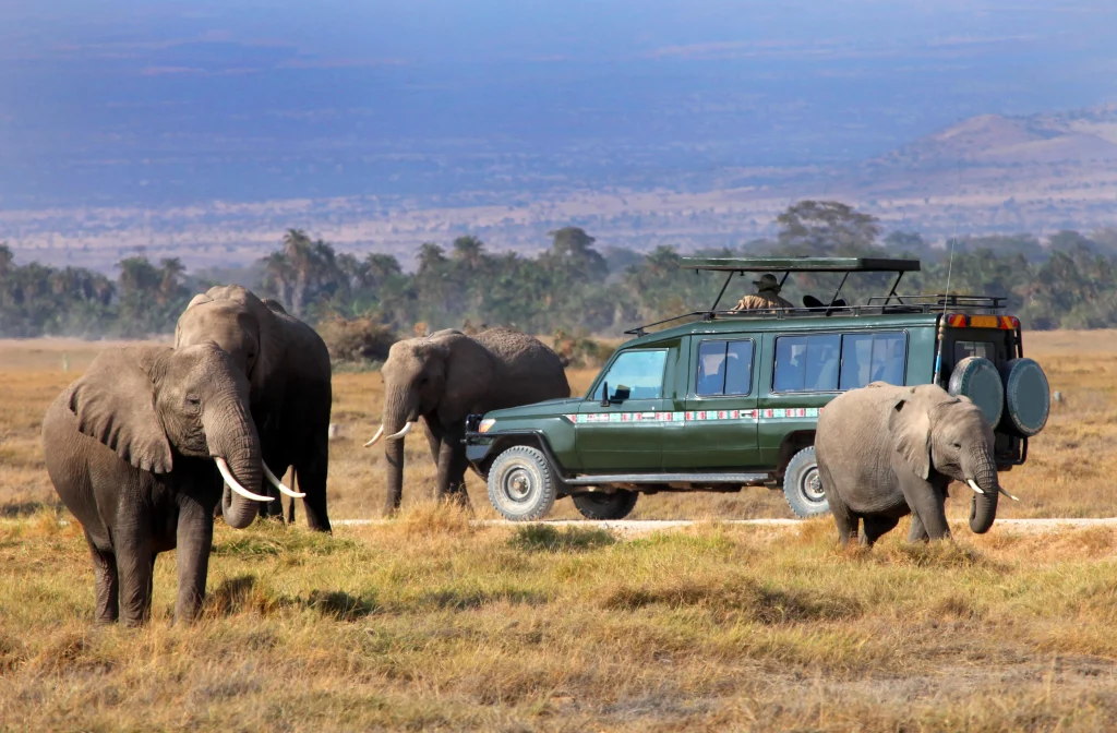 Game Driving in Maasai Mara National Reserve