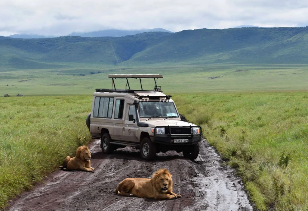 Game-Driving-in-Ngorongoro