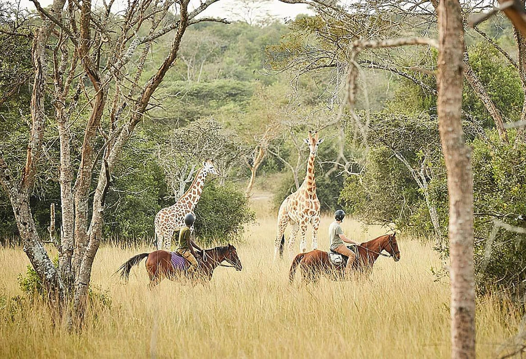 Horseback Safaris and Nature Walks