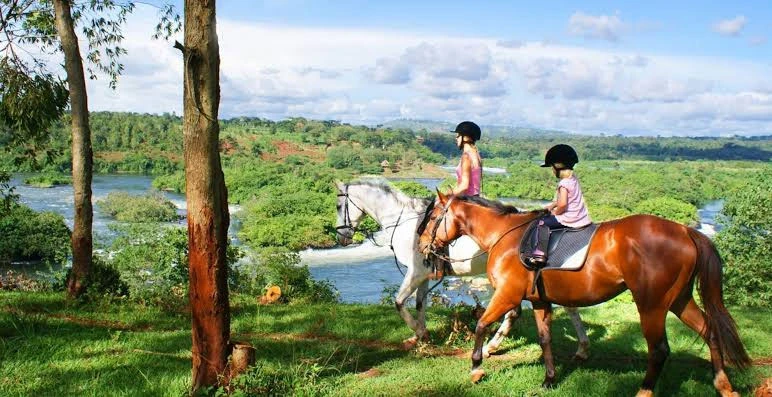 Horseback Safari Along the Nile