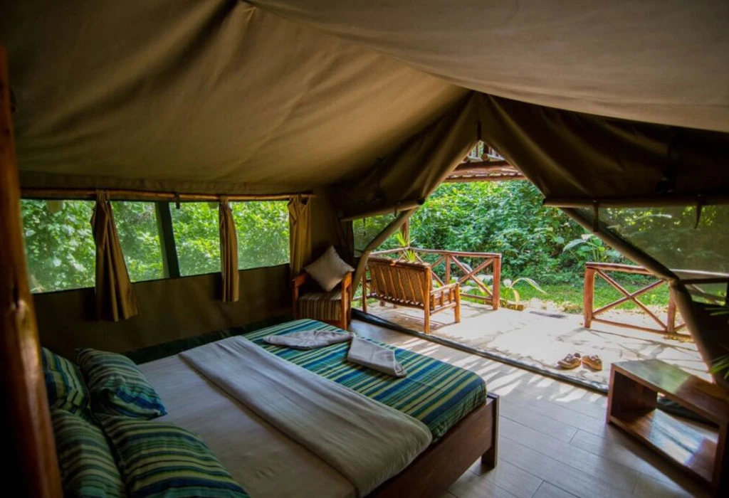 Budget Lodges in Kibale Forest National Park