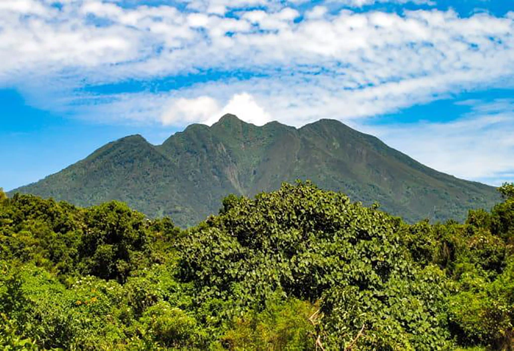 Ultimate Mgahinga Gorilla National Park Safari