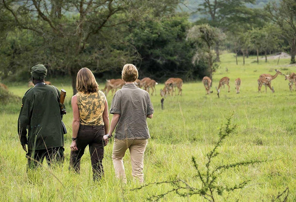 Guided Walking Safaris
