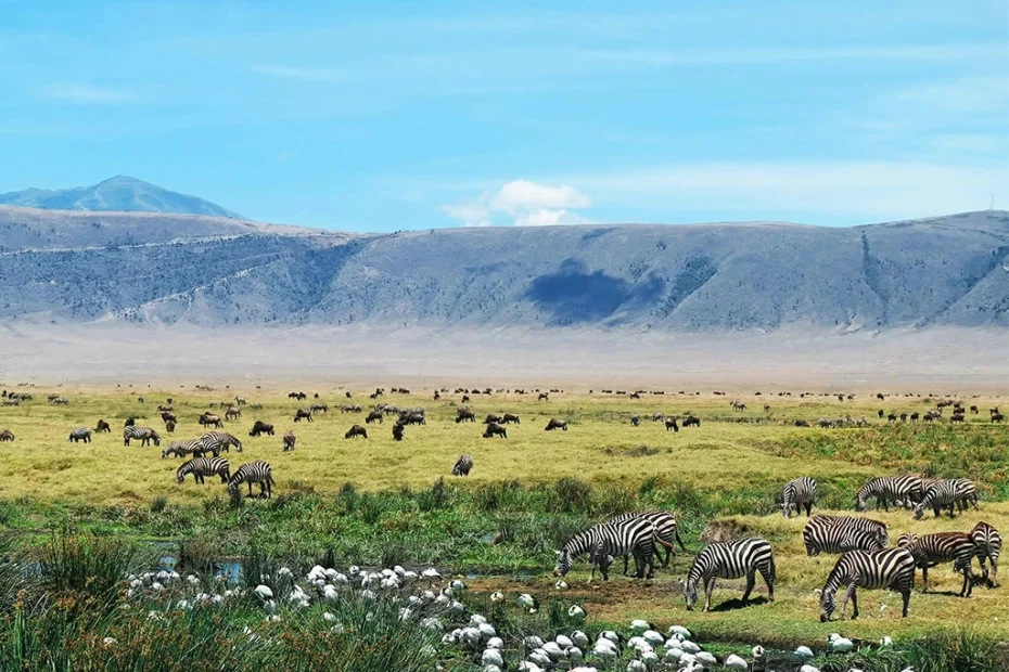Ngorongoro Conservation Area