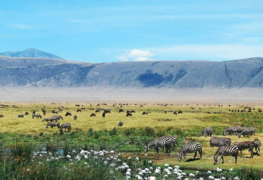 Ngorongoro Conservation Area