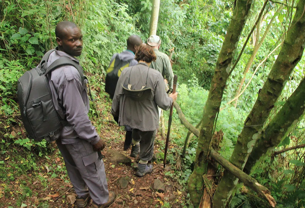 Physical Fitness for Gorilla Trekking