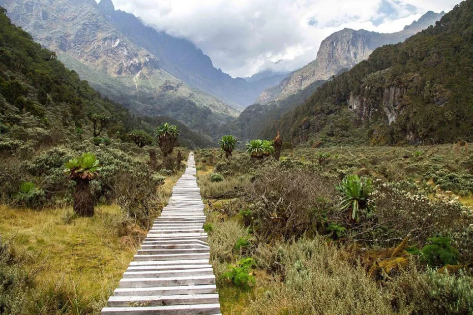 Best Rwenzori Mountains Safari: Hiking Uganda's Mountains of the Moon