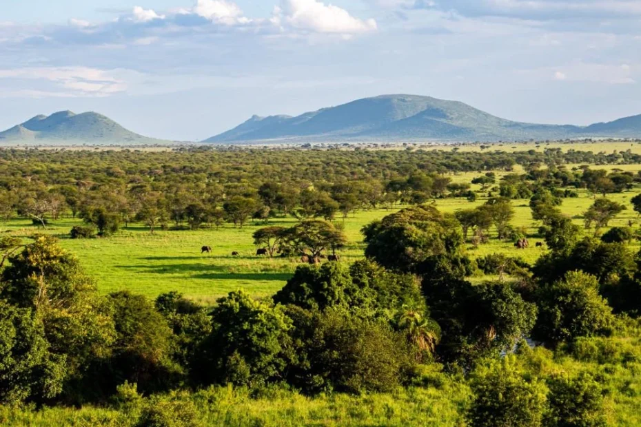 Quick Facts About Serengeti National Park