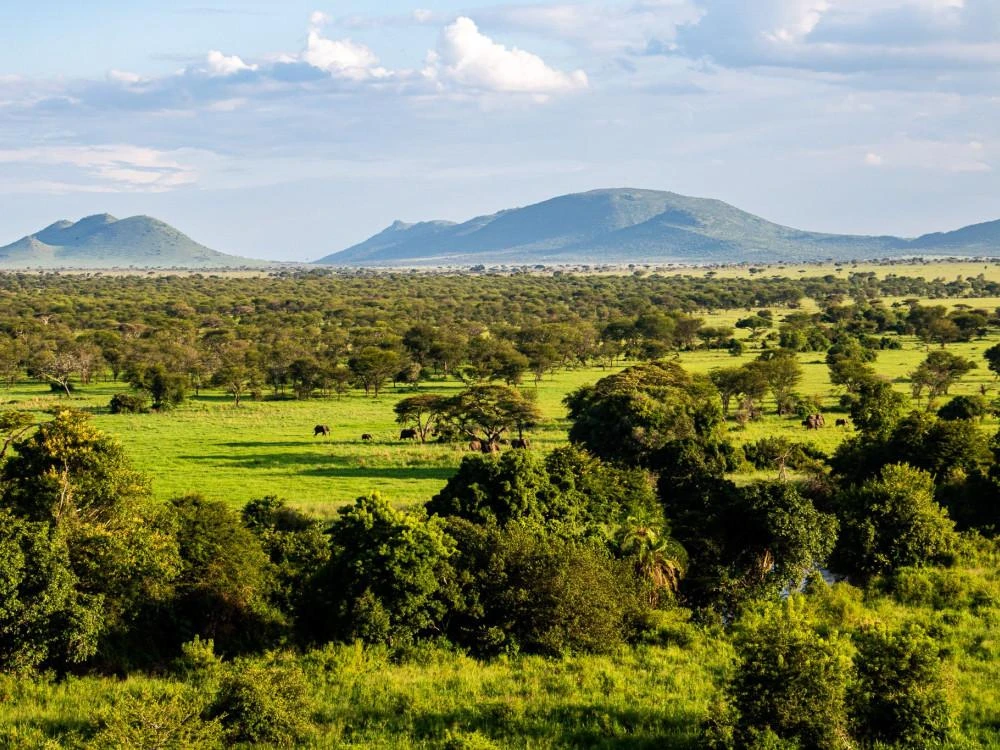 Quick Facts About Serengeti National Park
