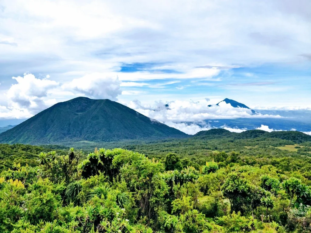 Where Is Volcanoes National Park
